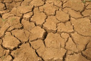 Cracked Soil on a Crop Field During the Dry Season, Lagos, Nigeria